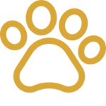 Specialist Treatments