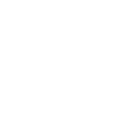cleaning-carpet